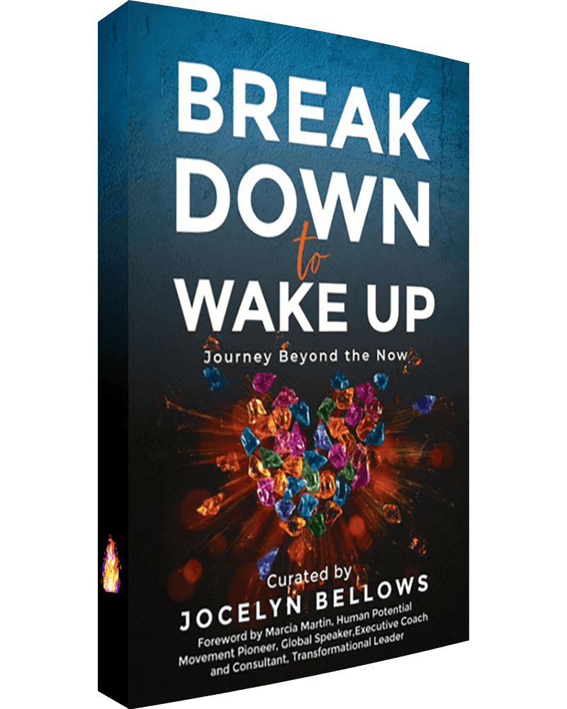 Break Down to Wake Up by Jocelyn Bellows